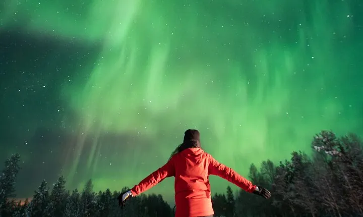 Rovaniemi Insider: Guaranteed Northern Lights Tour