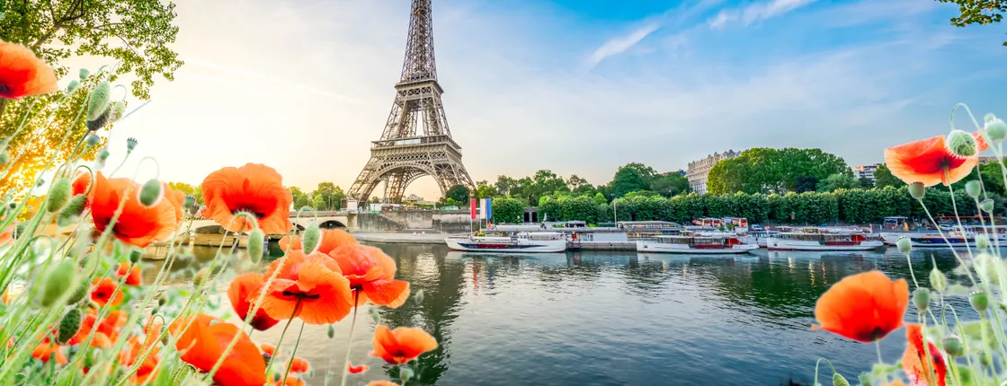 Eiffel Tower reserved access to the summit and cruise