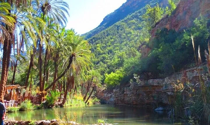 Private Guided Tour to Paradise Valley and Taghazout village