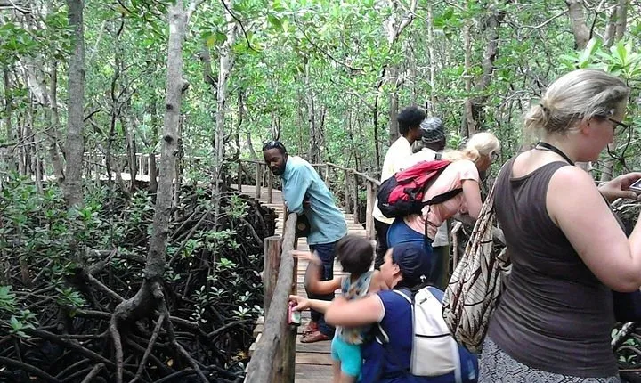 Spice Farm Tour and Jozani Forest - Private Trip