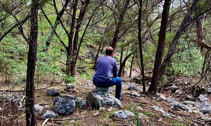 Forest Mindfulness and Embodiment Experience