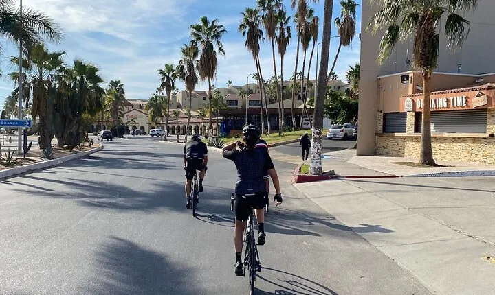 Bike rentals