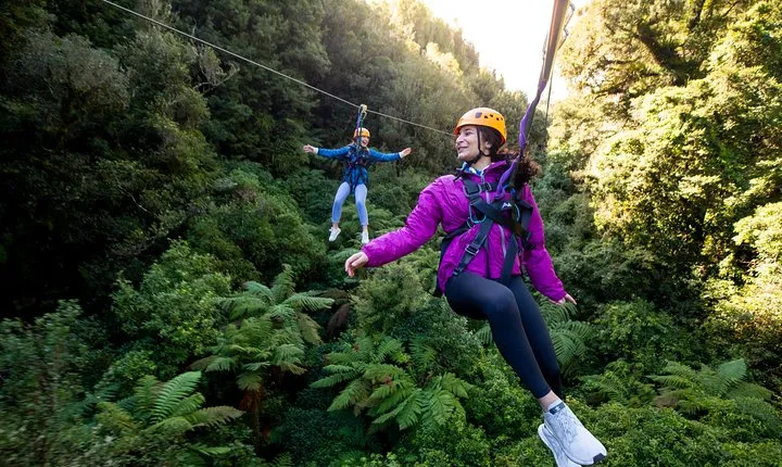 Ziplining Forest Experience - The Ultimate Canopy Tour Rotorua