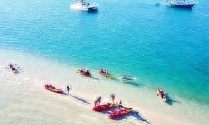 2.5hr Gold Coast Kayaking & snorkelling tour