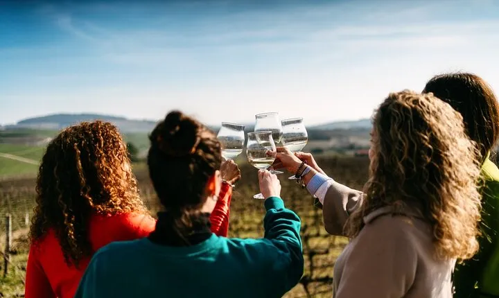Porto: Douro Valley Tour with 2 Wines, Lunch and Cruise