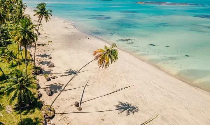 Ipioca Beach Tour from Maceió