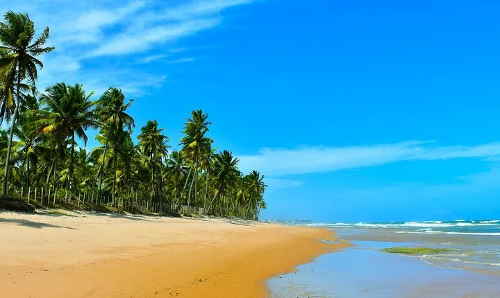 Serenity Shore Stroll Jauá Beach, visit a hidden gem.
