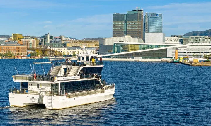 Guided Sightseeing Cruise on Oslofjord by Premium Silent Boat