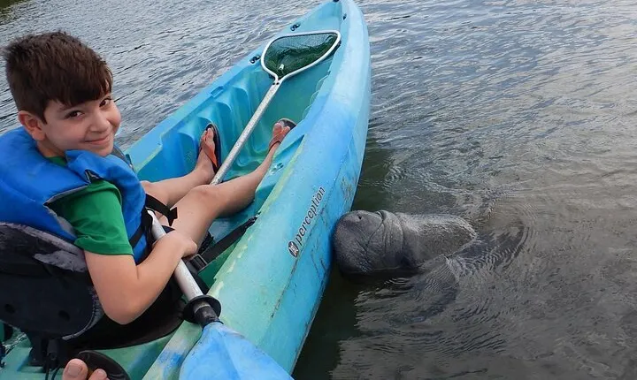 Manatee and Dolphin Kayaking | Wildlife Refuge (Titusville)