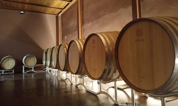 Volterra wines, sensory emotions of organic farming