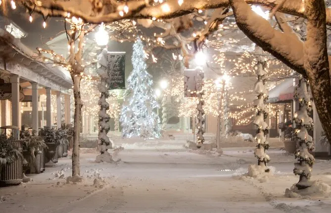 Holiday Lights Night Photography Tour