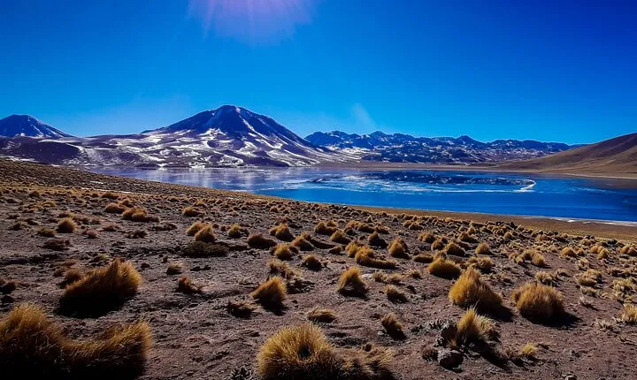Small-Group Tour Altiplanic Lagoons Red Stones & Flamingo Reserve