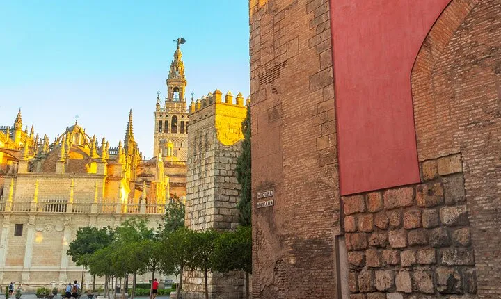 Guided walking tour of the Cathedral and Real Alcázar of Seville