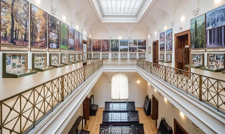Crash Course of the National Museum of Bosnia and Herzegovina