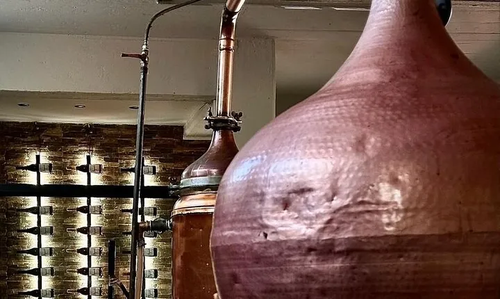 Farm-to-Glass Adventure: Olive Farm, Family Winery, Raki Tasting