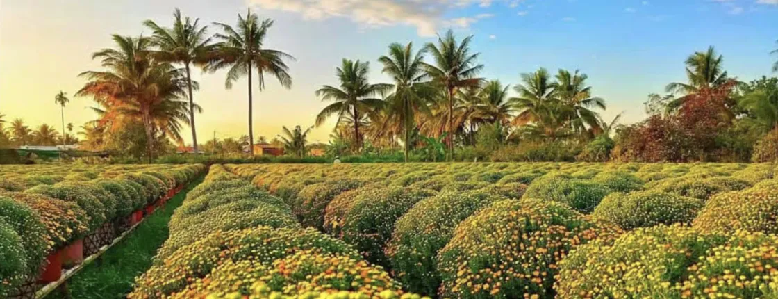 Sa Dec flower village guided tour with lunch