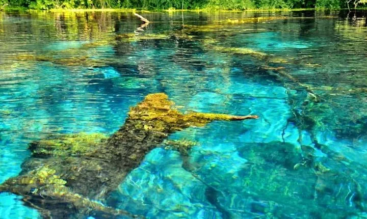 Explore Blue Eye- The Monument of Nature