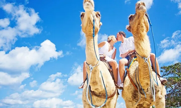 Thrilling Camel Adventures in the Enchanting Desert - Hurghada