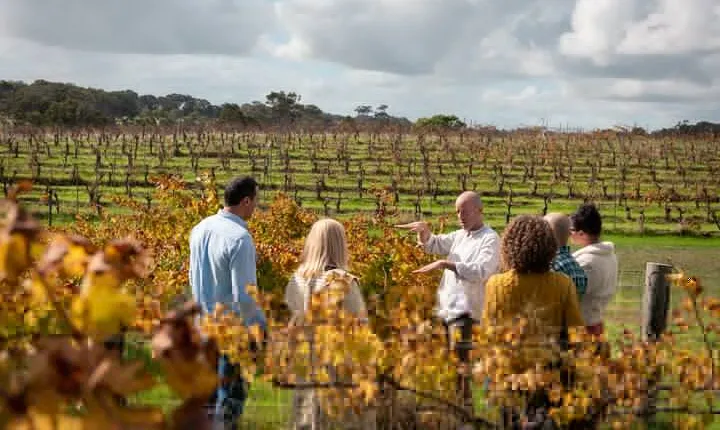 Hidden Gems: Full-Day Wine, Scones, Lunch and Local Produce Tour