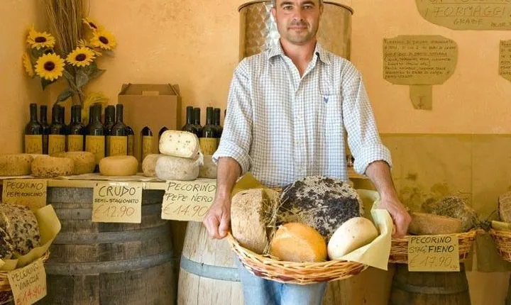 Wine Cheese and EVO Oil Tastings Southern Tuscany Fullday from Florence