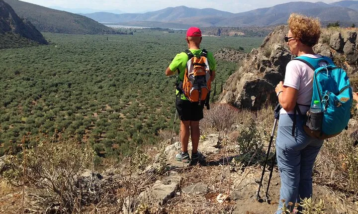 DELPHI Private Day Tour PLUS Hiking, BIking or Olive Tasting