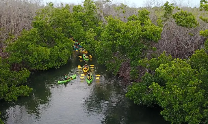 Puerto Rico Bio Bay Kayak Adventure Tour