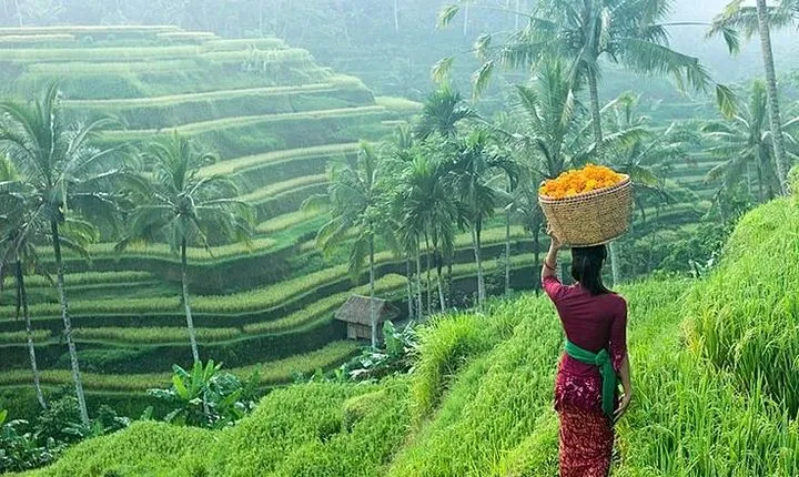 Private Day Ubud Art and Culture Tour