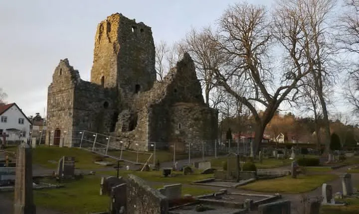 5hs guided Sigtuna tour from Stockholm to Sigtuna incl. Wenngarn Castle.