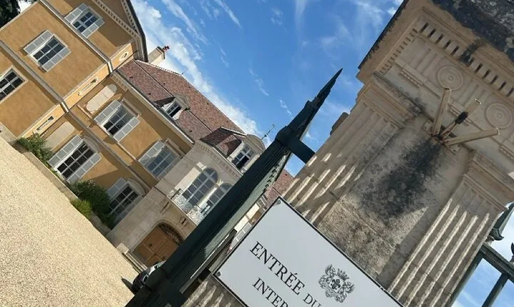 Excursion Full Day Discovery Beaune Vineyards and Gastronomy 