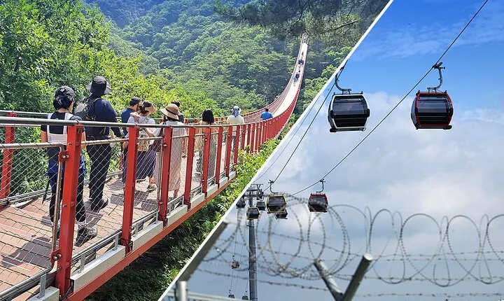 DMZ & Gondola & Suspension Bridge Full Day Tour From Seoul