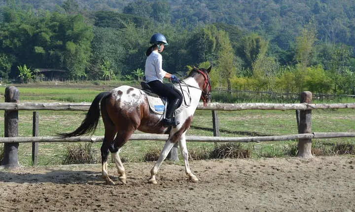 Horse Lesson+Riding+Wat Tonkwen wooden temple.Chiangmai