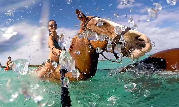 Horseback Ride Adventure Activity Inclusive With Transportation From Montego Bay