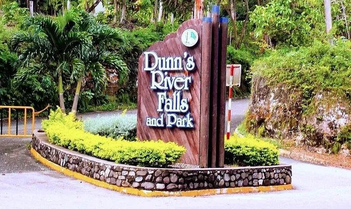 Montego Bay to Dunn's River Small Group Tour
