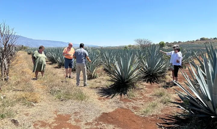 Tequila Jalisco Full Day Tour from Puerto Vallarta