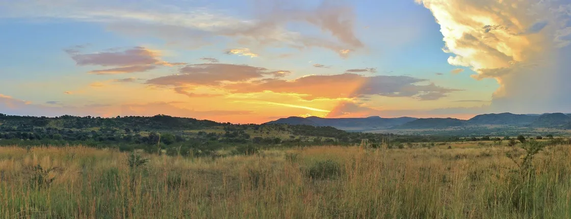 Pilanesberg National park safari from Johannesburg