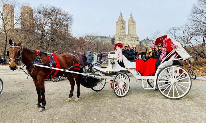 45 Minute VIP Central Park Carriage Ride