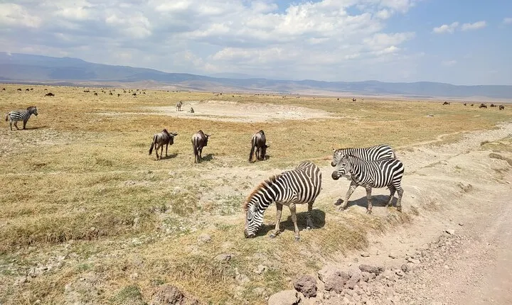 Safaris 4 days Serengeti, Ngorongoro & Tarangire
