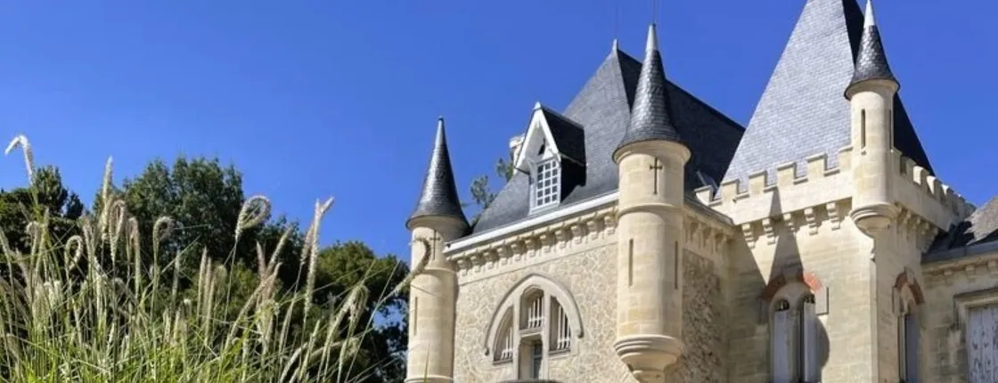 Morning wine tour to Saint-Emilion