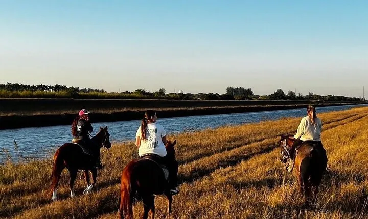 Horseback Riding in Miami
