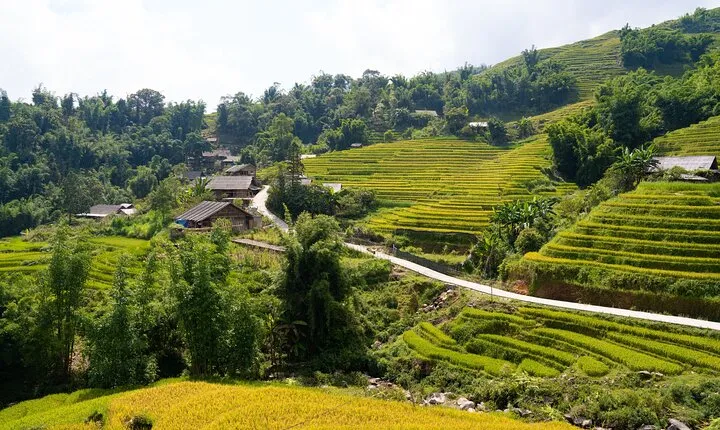 3-Days Sapa Trekking With Local Guide Overnight in Tavan Village