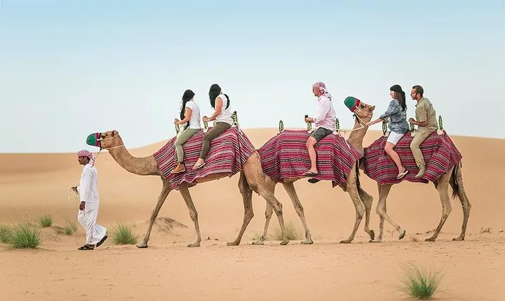 Dubai Camel Rock Desert Safari with Dune Bashing & BBQ & Show