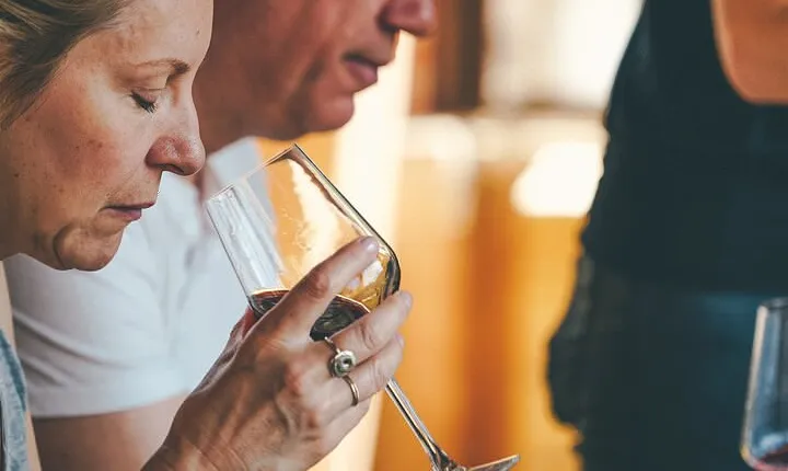 Valpolicella and Amarone Wine-tasting Tour from Verona