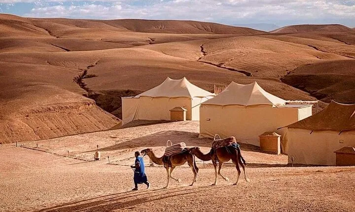 AGAFAY Desert: Quad biking, Camel Ride, Dinner and Show.