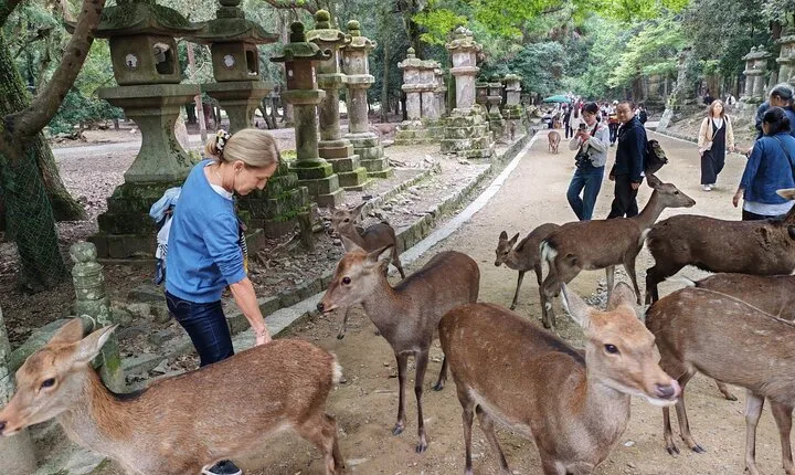 Private 3-Hour UNESCO Heritage Sites & Deer Park Tour