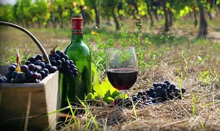 Private Wine Tour to Kakheti from Tbilisi