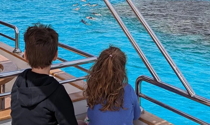 Satayeh Reef , Swimming with Dolphins, Snorkeling in Marsa Alam