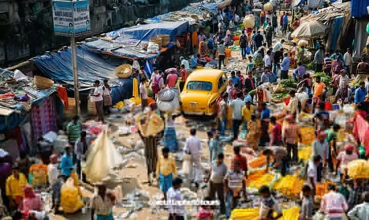 Kolkata's Flower Market - Hooghly's Flower Fest Tour