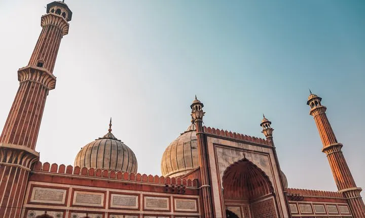 Transit Tour - Best of Old Delhi's Attractions & Food on a guided 4 hours tour
