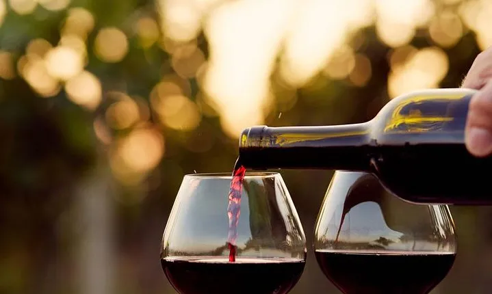 Wine Tasting Tour