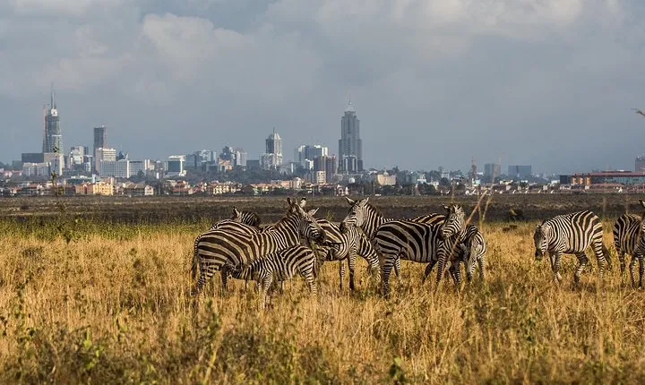 Early Nairobi Park Giraffe Centre and Optional Elephant Orphanage